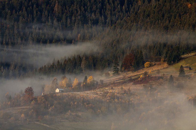 карпаты горы утро туман осень Осенняя история(2)...photo preview