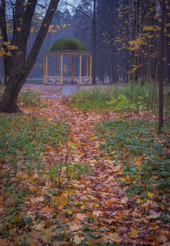 В парке ноябрьphoto preview