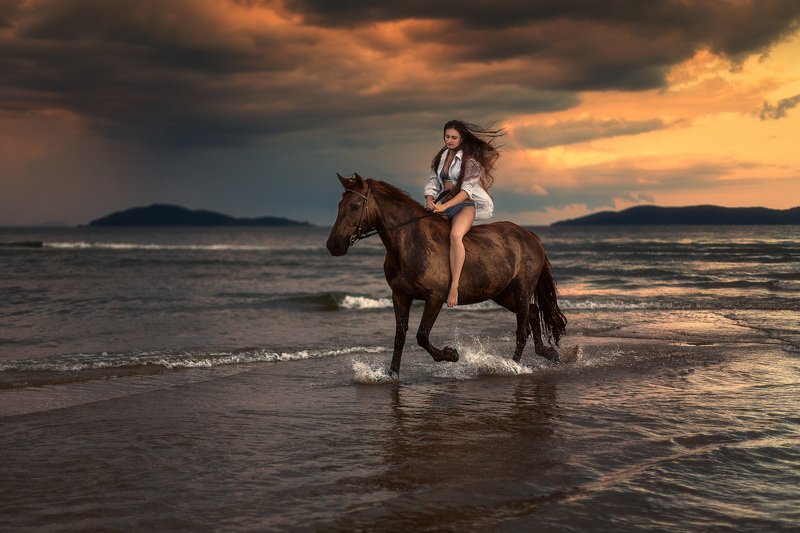 вечер, лошадь, девушка ***photo preview