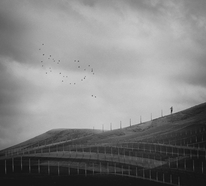 fineart The Beginning at the Endphoto preview