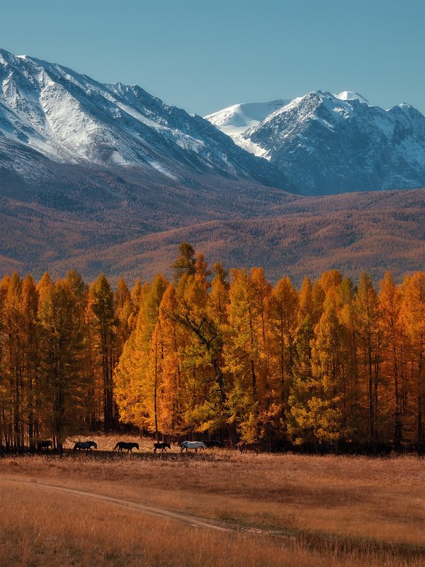 Алтайphoto preview