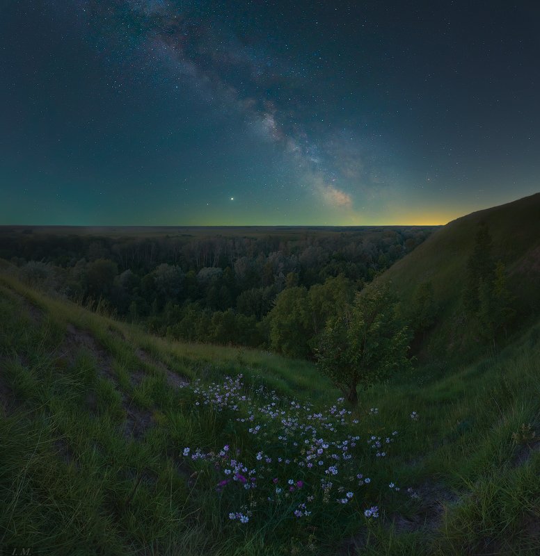 ночная фотография, млечный путь, звезды, ночной пейзаж, ночь, лето, июнь, атмосферное свечение, панорама, цветы, холм, долина реки, Псел, пейзаж, Украина, ночное небо, night photography, night sky, stars, milky way, galaxy, nightscape, valley, river, Psel В летнюю ночь .. фото превью