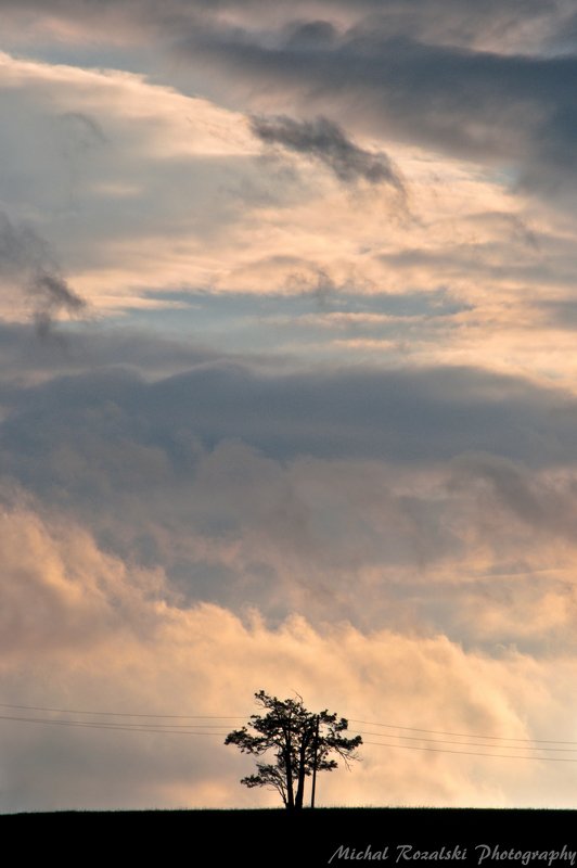 sky, ,clouds, ,tree, ,horizon, ,spring, ,season, , Colorful sky after rainphoto preview