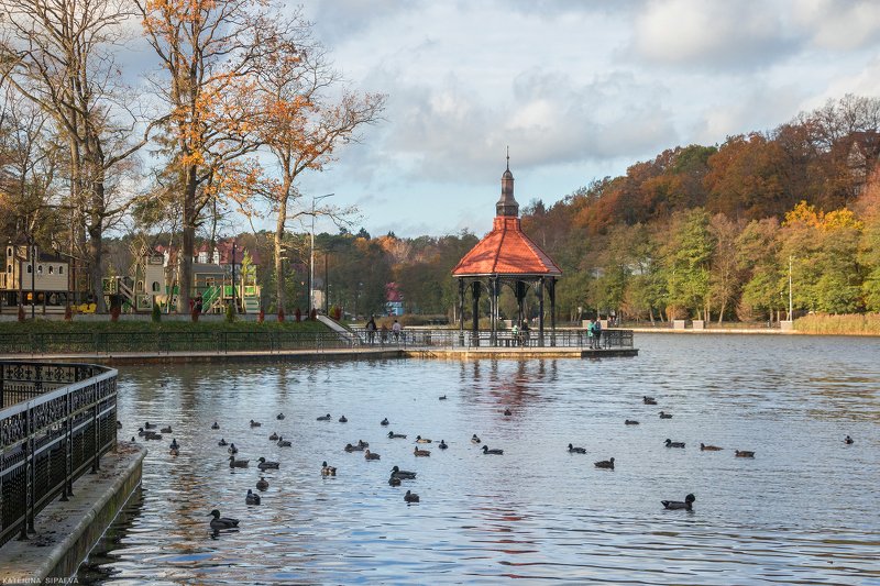 город, осень, городской пезаж, светлогорск Ноябрь в Светлогорскеphoto preview