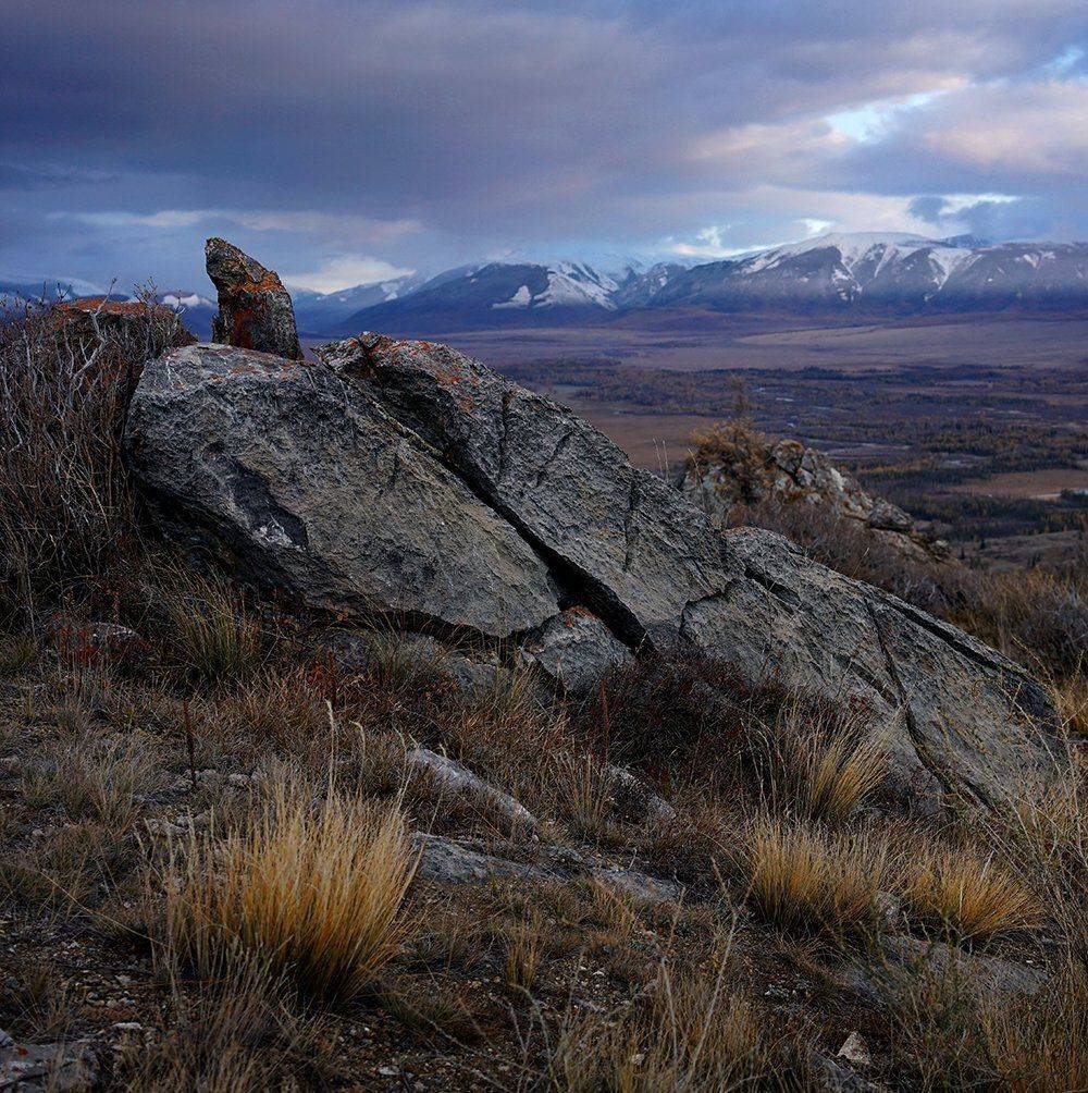 , Алексей Родак