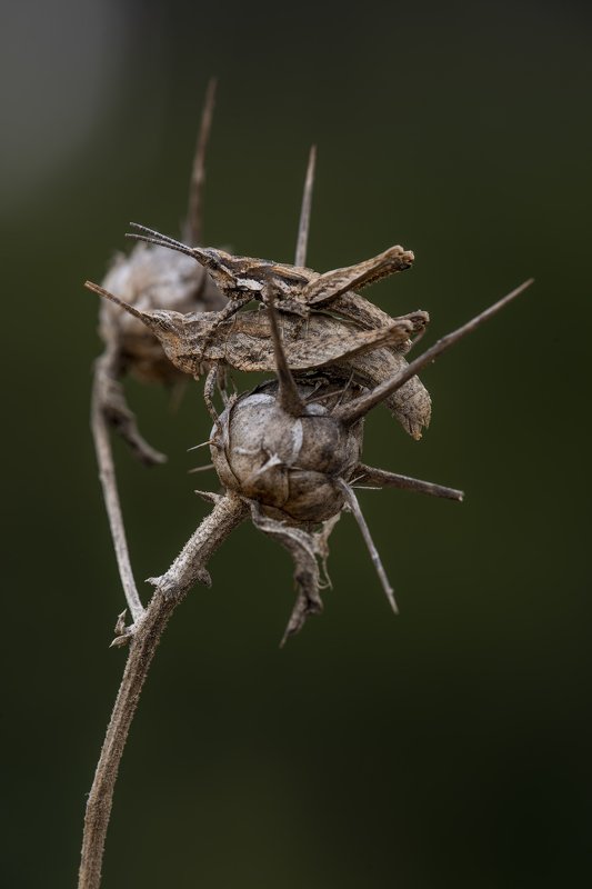 О ВЕЧНОМphoto preview