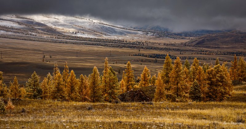 Пейзаж, Алтай, путешествие, осень,  Осенний джазphoto preview