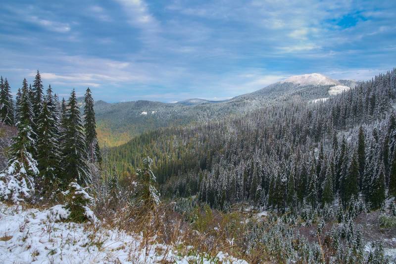 #landscape #nature #scenery #forest #wood #autumn #mist #misty #fog #foggy #river #waterfall #longexposure #mountain #vitosha #bulgari #aтуман #лес #oсень Мармароський масивphoto preview