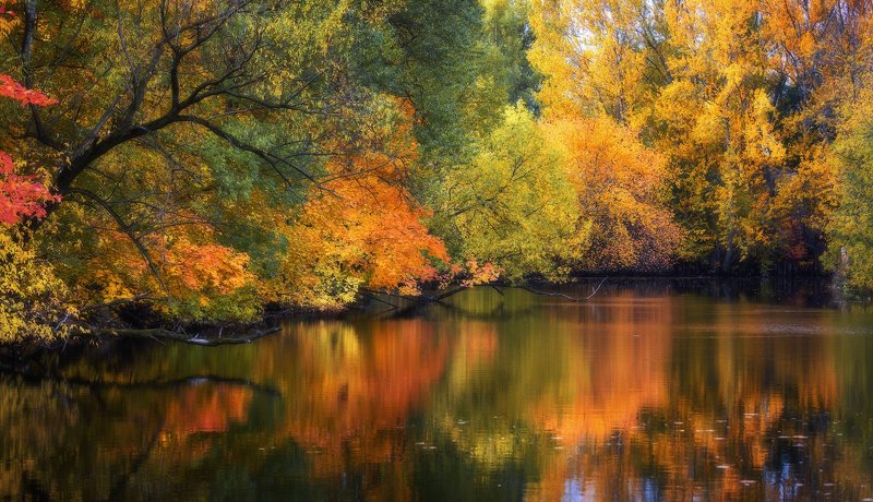 Река Таракановка. Река Таракановка. фото превью