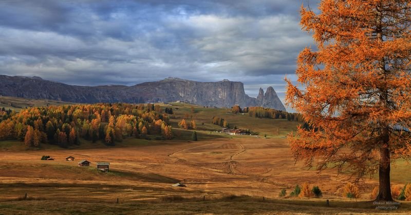 Золото Доломитовых Альпphoto preview