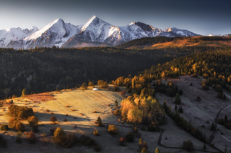 autumn contrasts фото превью