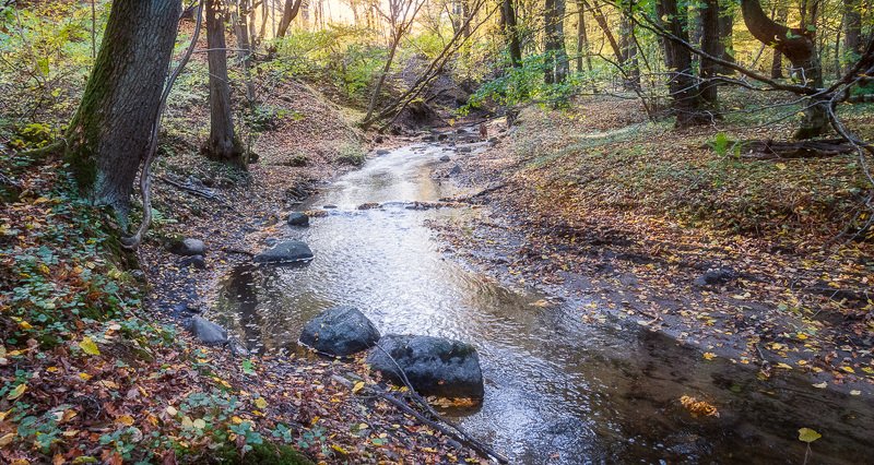 Осень у Чистой речкиphoto preview