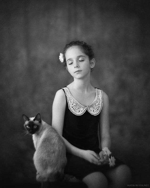 Dialecticsphoto preview