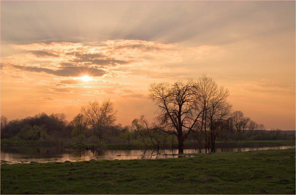 апрельский вечер. Автор: Николай Шахманцир , Николай Шахманцир