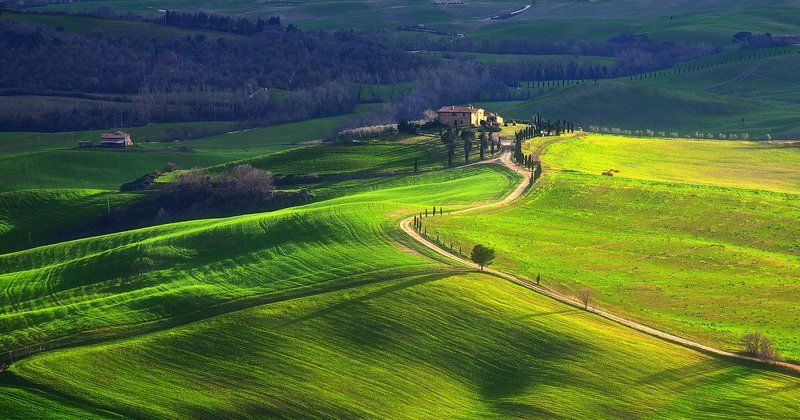 А Сеня тогда вперед ушел.photo preview