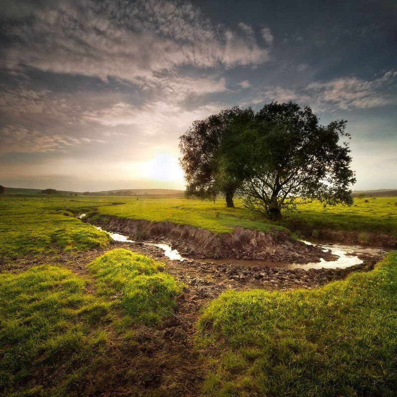 Водопой2photo preview