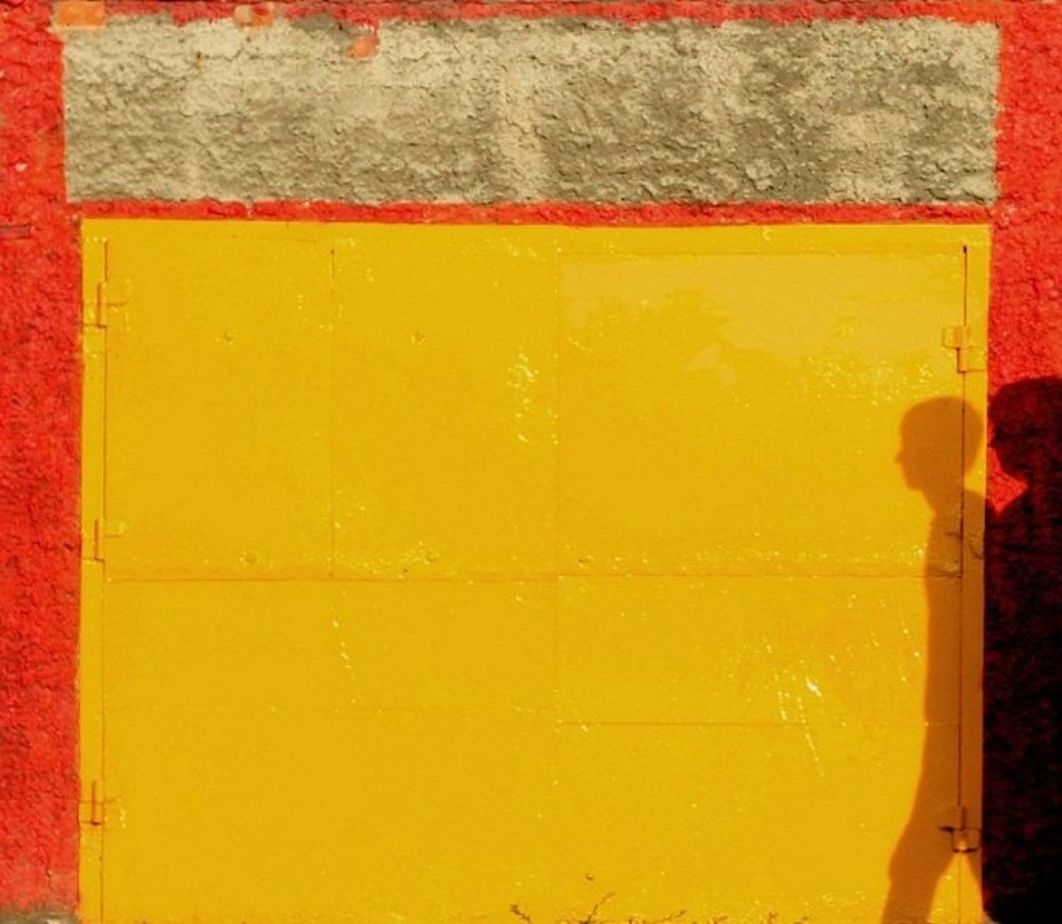 , Сюзанна Шевченко