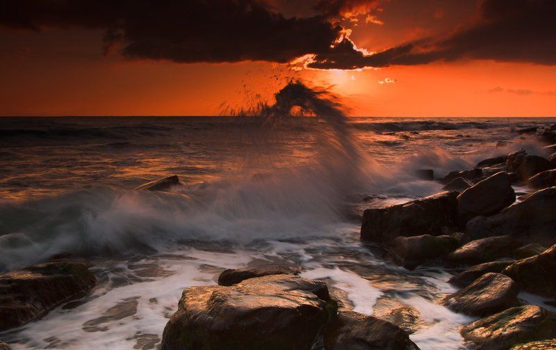 Морской дракон)photo preview