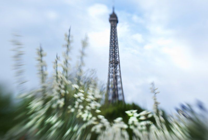 париж, эйфелева башня, головокружение, весна, lensbaby Весеннее головокружение...photo preview