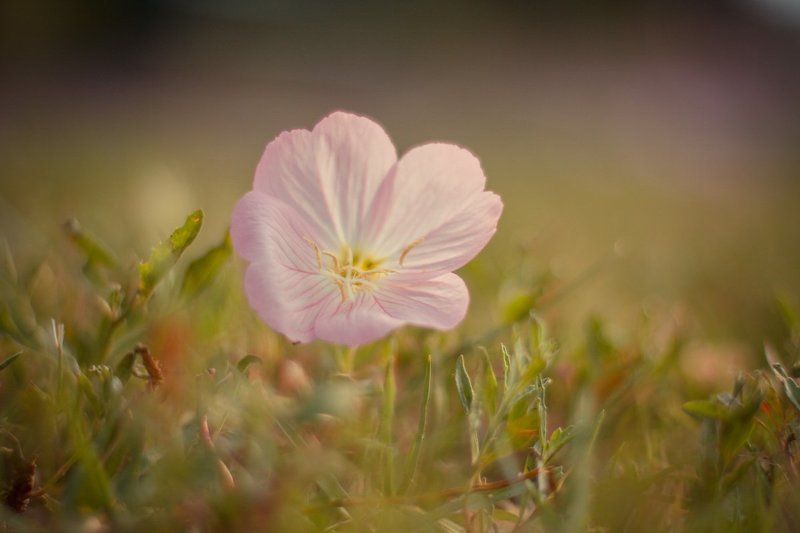 Утроphoto preview