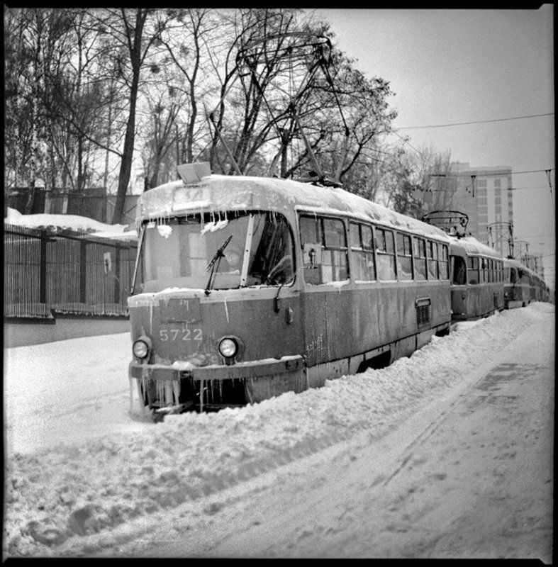 динозаврыphoto preview