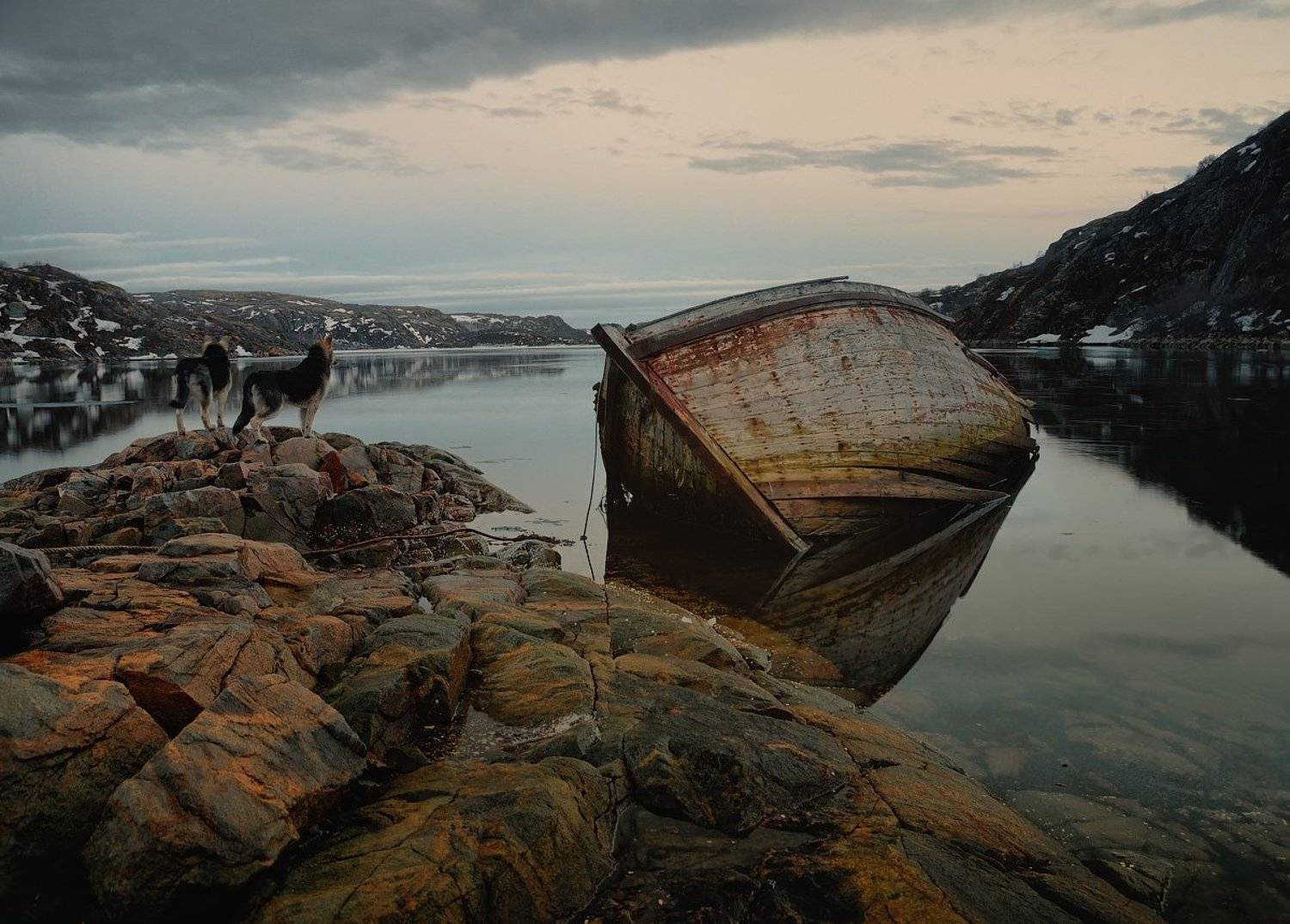 Пусть все будет у них хорошо!. Автор: Ivvian кольский п-ов, полярный день, 01:30 мск, Ivvian