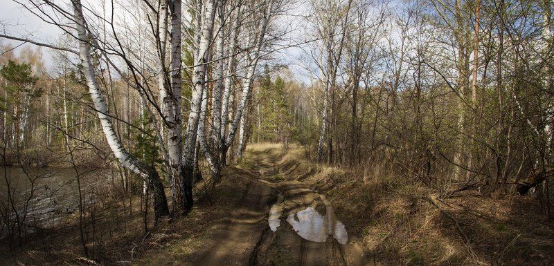 Опоздавшая ранняя веснаphoto preview