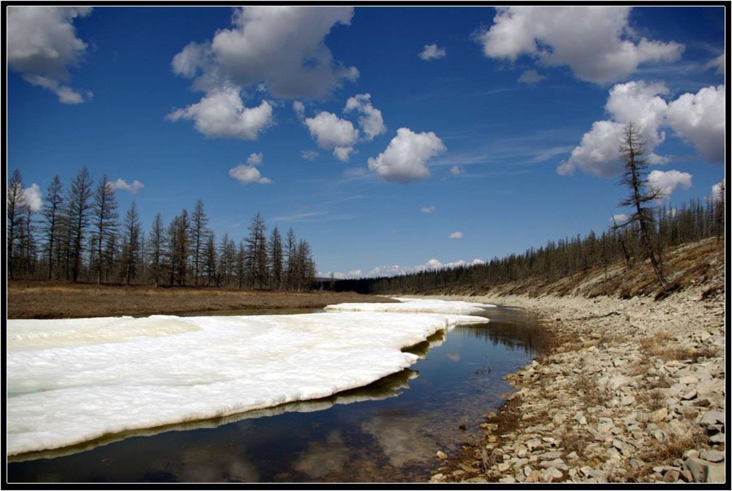 Весенний пейзаж. Автор: Солодухин Виктор , Солодухин Виктор