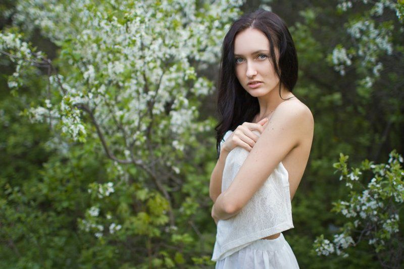 цветущие, вишни цветущие вишниphoto preview