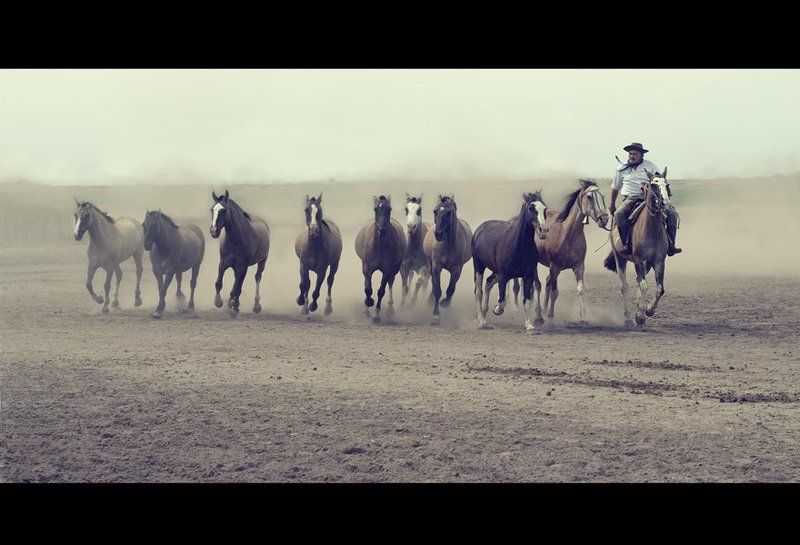 Аргентинских гаучоphoto preview