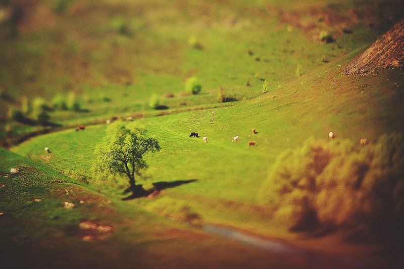 майское настроениеphoto preview