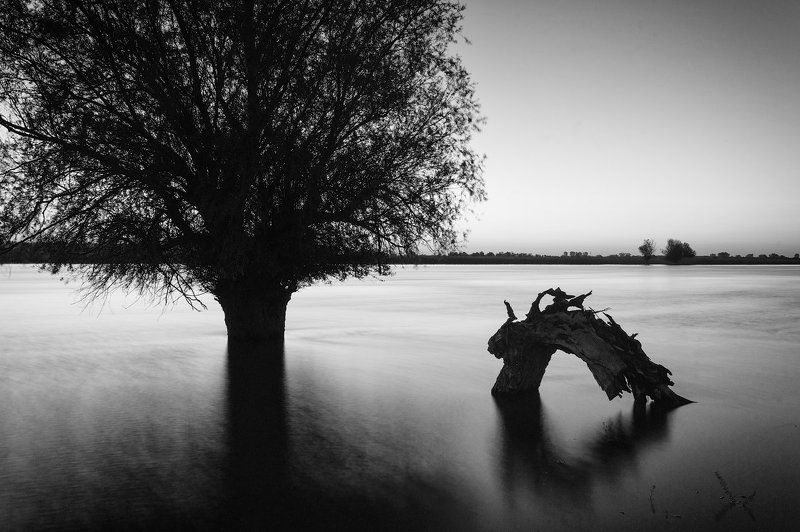 Коряжки Астраханской области. Увидим и не забудем.photo preview