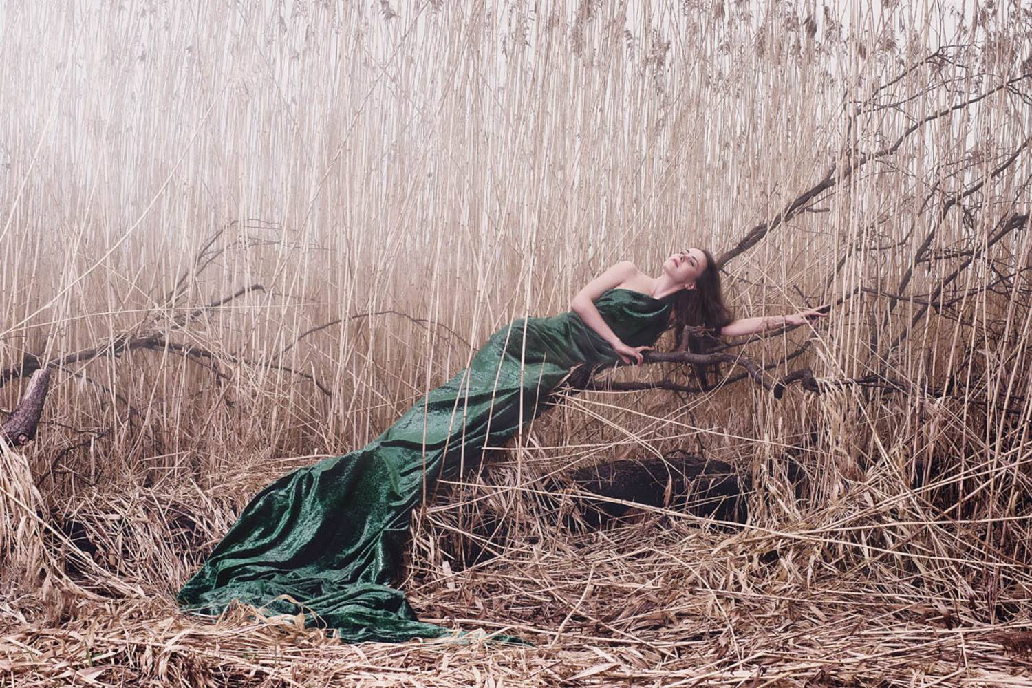 , Соколовский Станислав