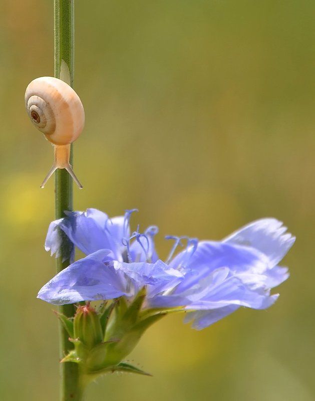 Назад в колыбель... фото превью