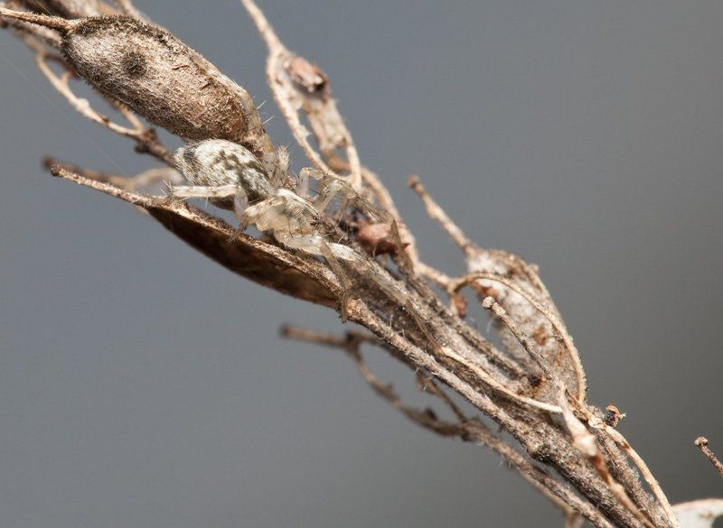 маскираторphoto preview