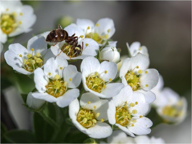 Как вкусно!photo preview