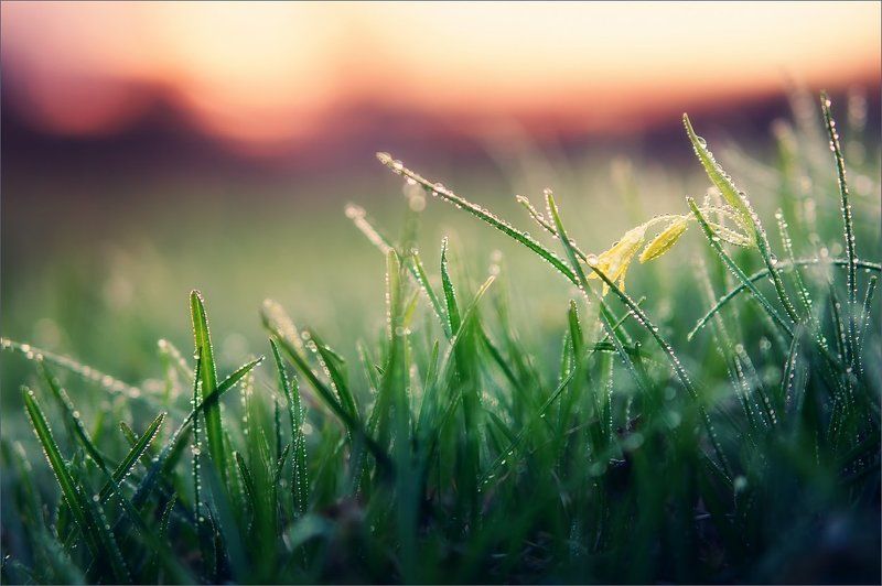 Дождливым майским вечером...photo preview