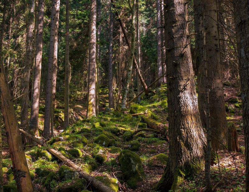 Каменный потокphoto preview