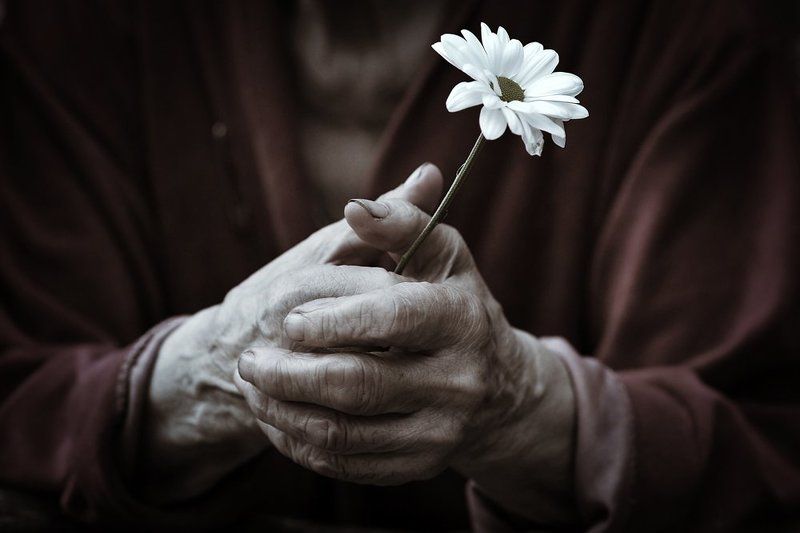 Жизньphoto preview