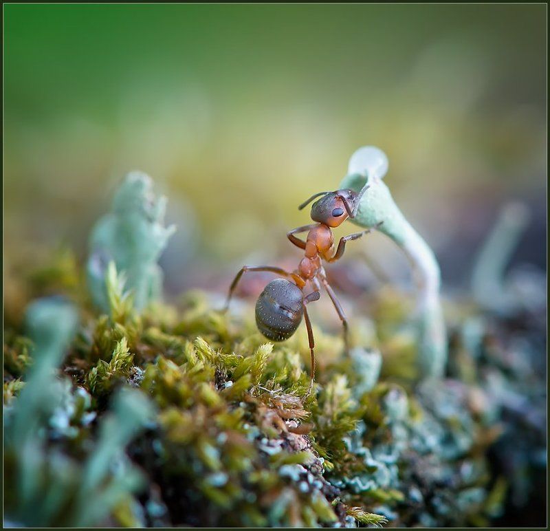 Есть тут кто?photo preview