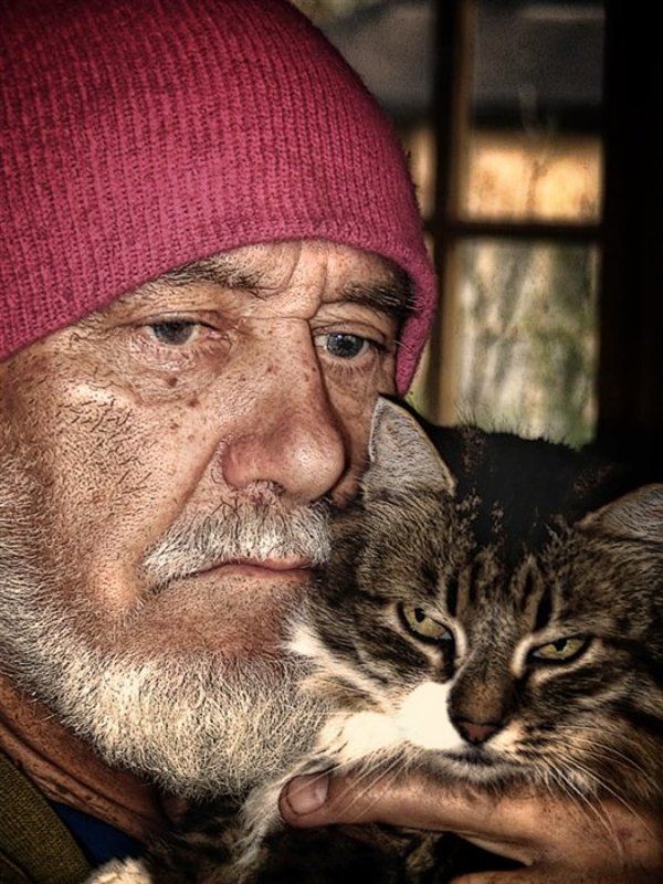 старик, кошка Старик и его кошкаphoto preview