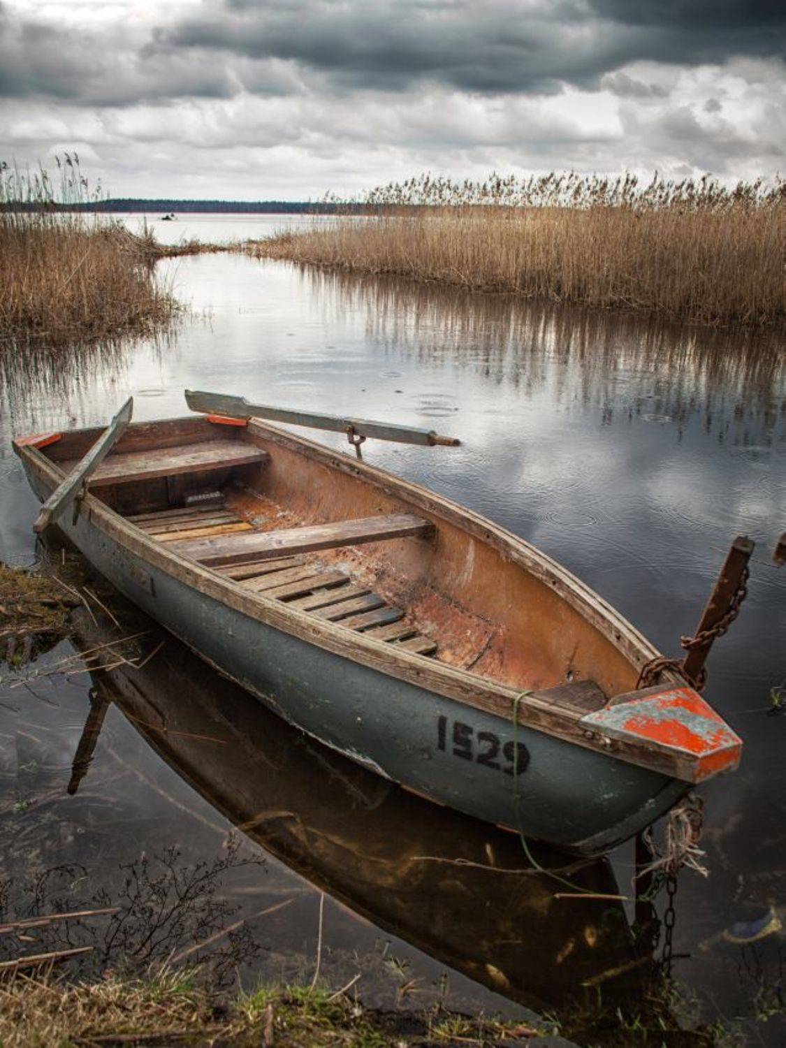 ****. Автор: Artiom , Artiom