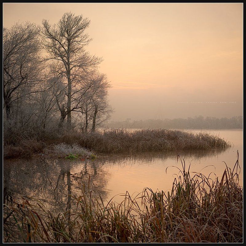 Вечерний свет...photo preview