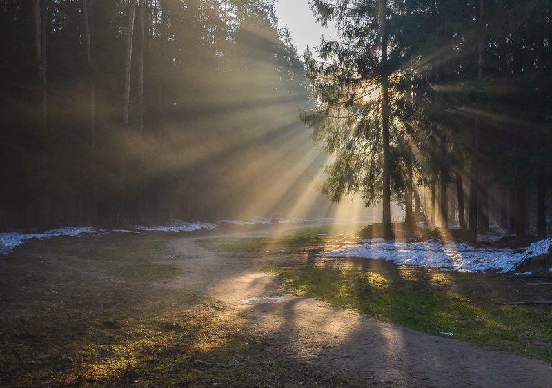 Туманно-лучистое утро фото превью