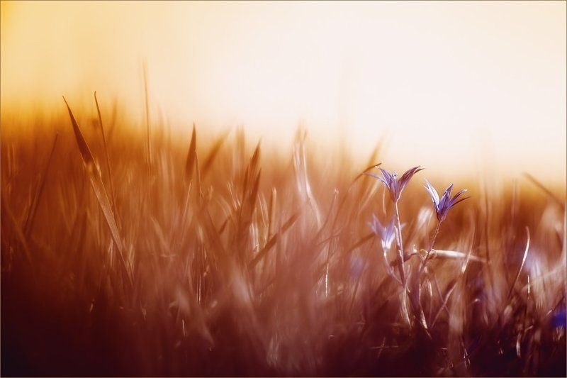 В желтой пеленеphoto preview