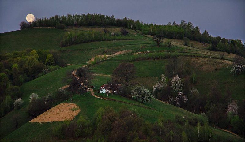 Под луннойphoto preview