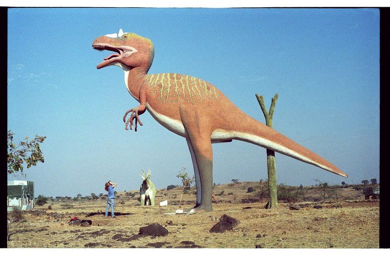 индия, манду, динозавр, развалины Manduphoto preview