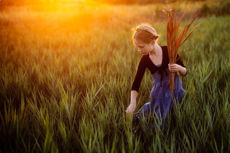 Harvesterphoto preview