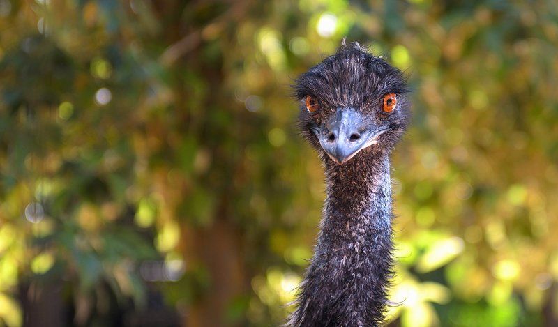 Can\'t take my eyes off Uphoto preview