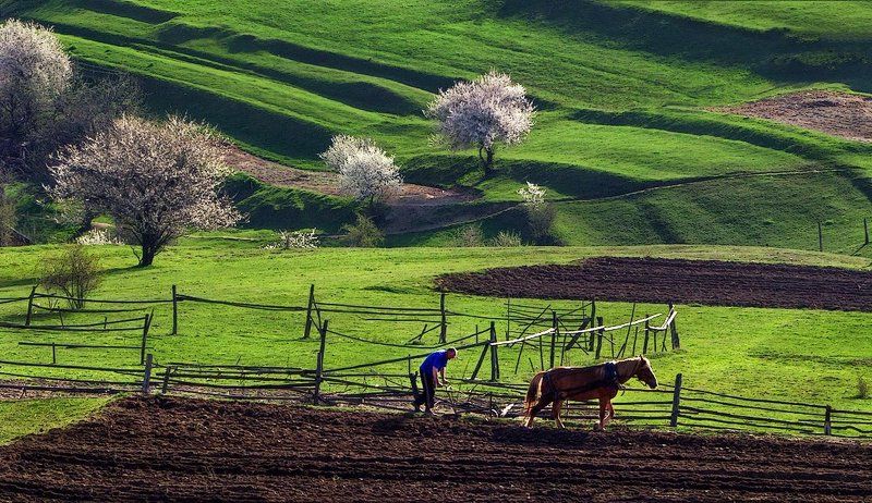 Земля, земля...photo preview